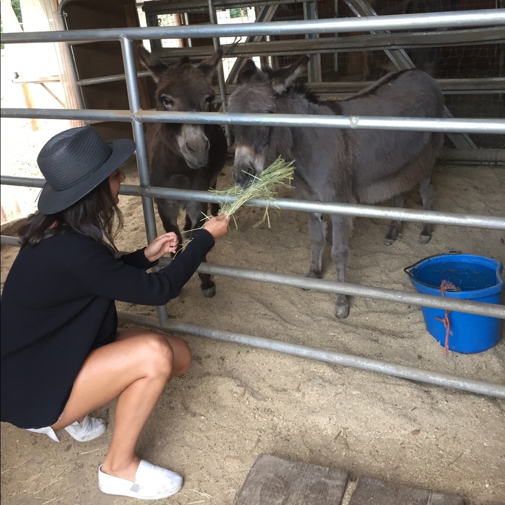 Meet your Posher, Miranda